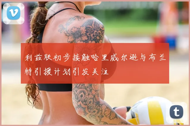利兹联初步接触哈里威尔逊与布兰特引援计划引发关注