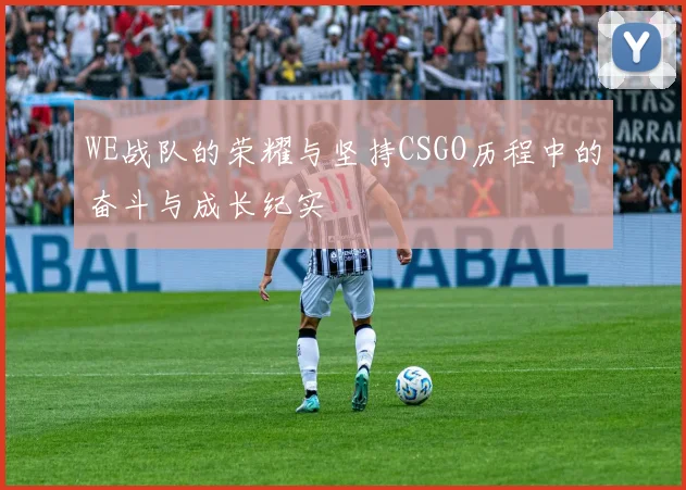 WE战队的荣耀与坚持CSGO历程中的奋斗与成长纪实