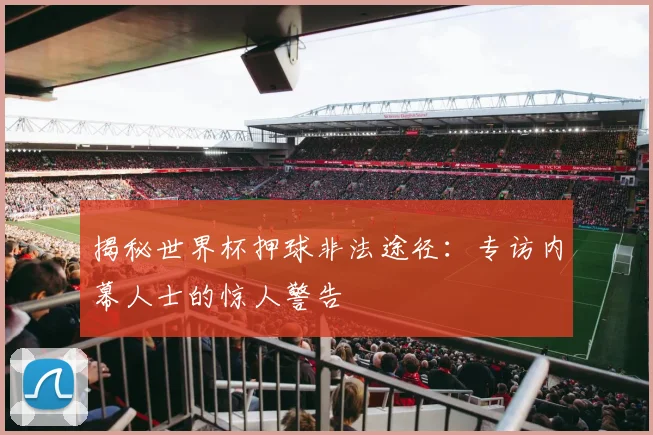 揭秘世界杯押球非法途径：专访内幕人士的惊人警告