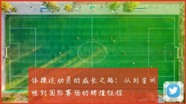 体操运动员的成长之路：从刻苦训练到国际赛场的辉煌征程