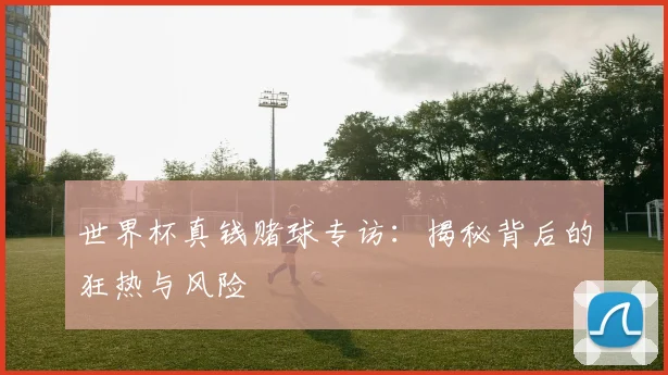 世界杯真钱赌球专访：揭秘背后的狂热与风险