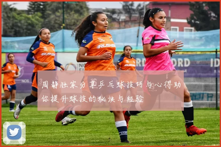 周静独家分享乒乓球技巧与心得助你提升球技的秘诀与经验