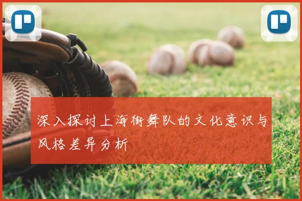 深入探讨上海街舞队的文化意识与风格差异分析