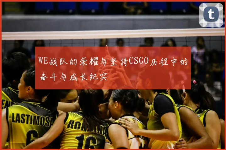 WE战队的荣耀与坚持CSGO历程中的奋斗与成长纪实