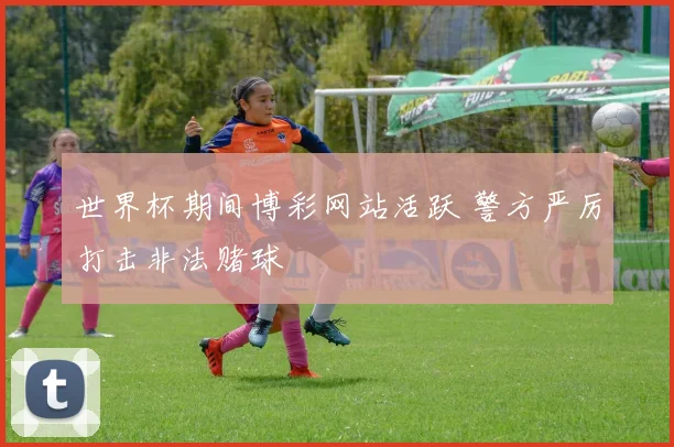 世界杯期间博彩网站活跃 警方严厉打击非法赌球