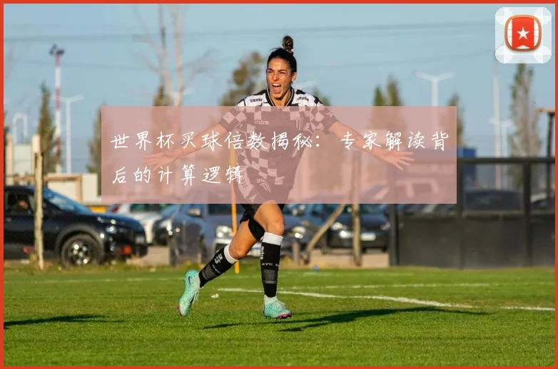 世界杯买球倍数揭秘：专家解读背后的计算逻辑