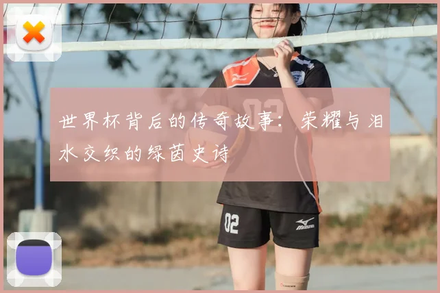 世界杯背后的传奇故事：荣耀与泪水交织的绿茵史诗
