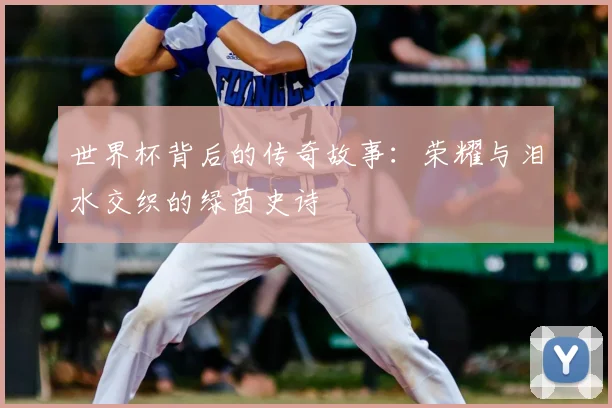 世界杯背后的传奇故事：荣耀与泪水交织的绿茵史诗