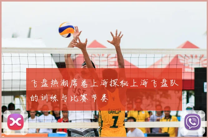 飞盘热潮席卷上海探秘上海飞盘队的训练与比赛节奏