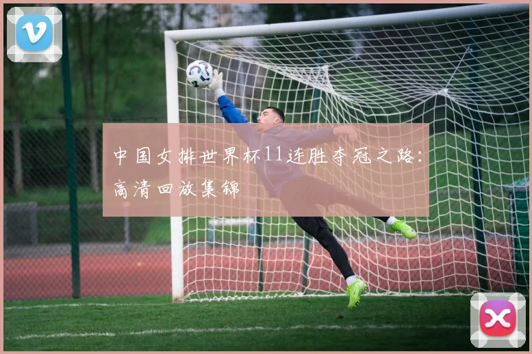 中国女排世界杯11连胜夺冠之路：高清回放集锦