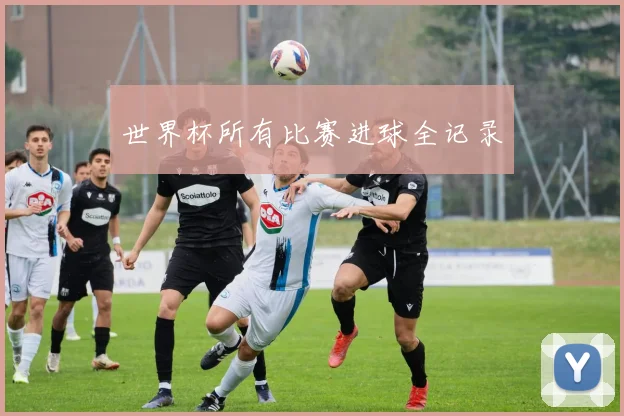 世界杯所有比赛进球全记录